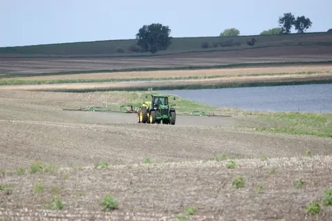 Worker spraying herbicide on vegetation
