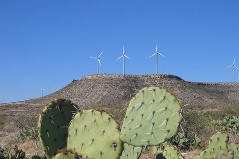 Wind turbines on a mesa above prickly pear cactus in West Texas