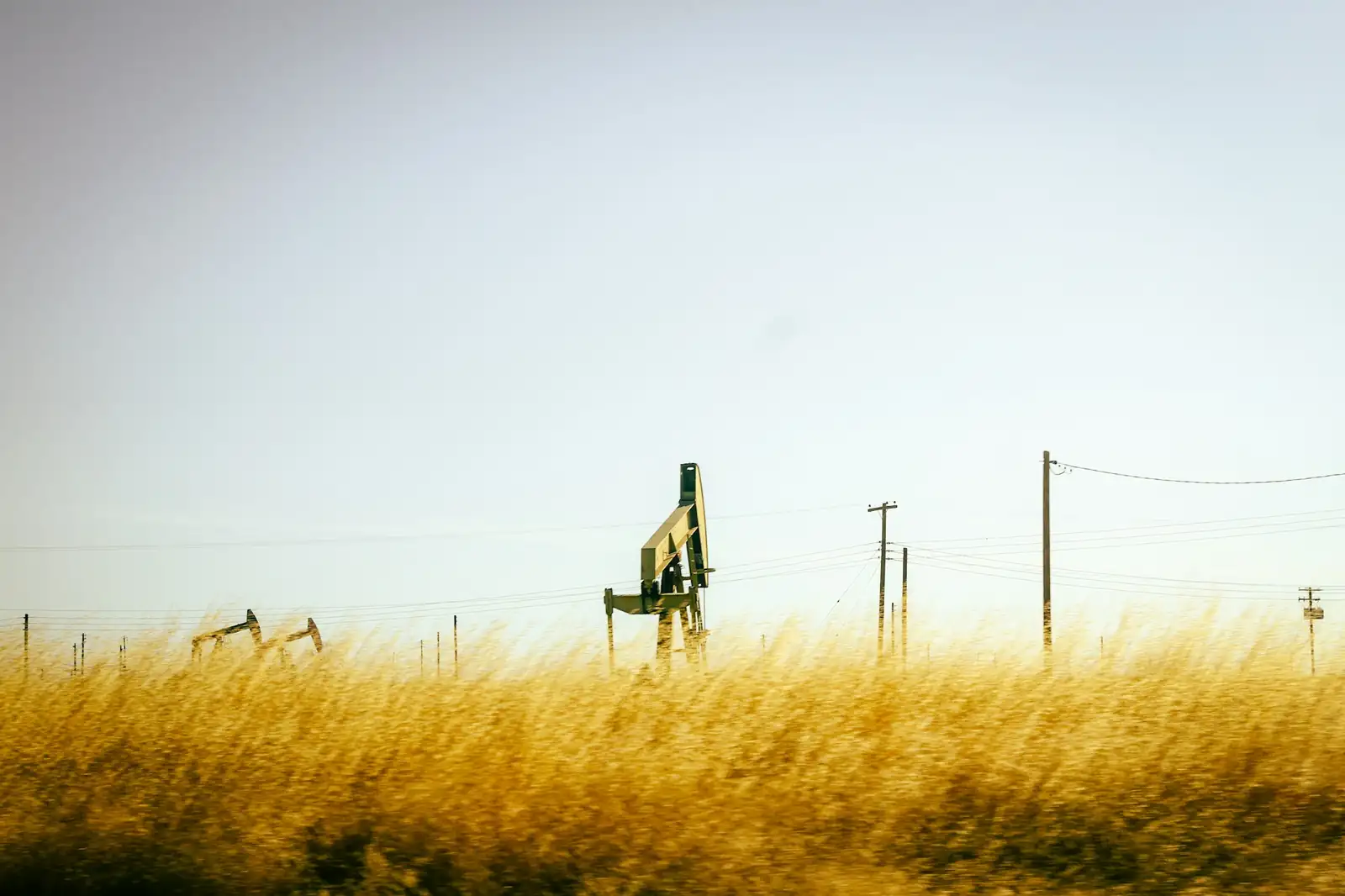 Pumpjacks in a grass field